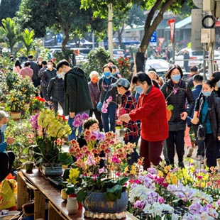 范日升 优秀奖 - 《花样年华》